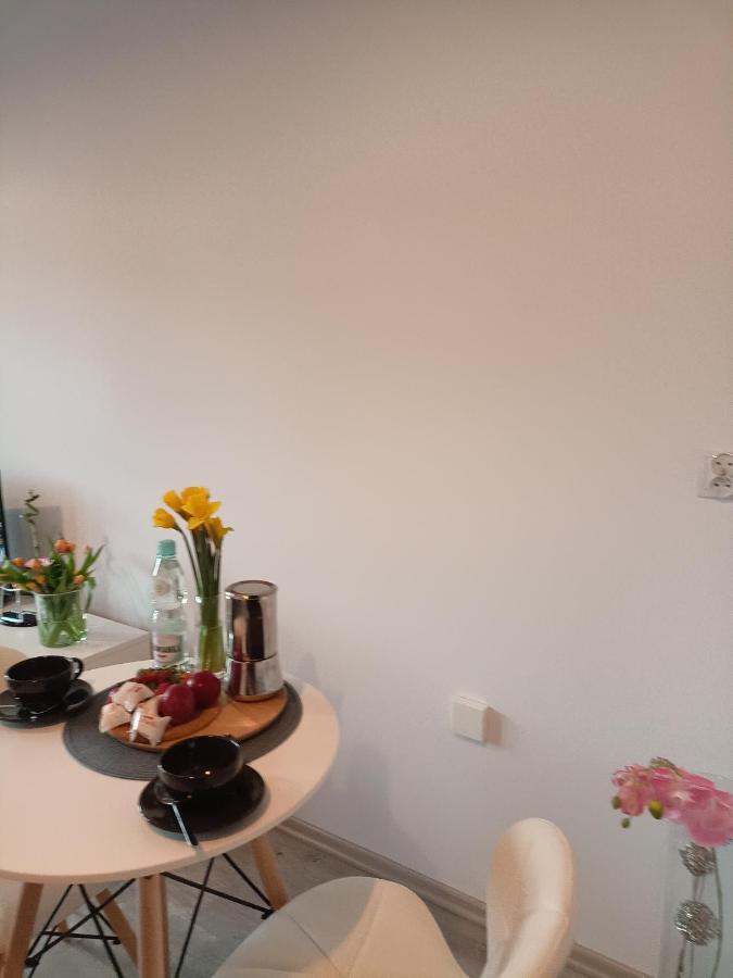 Apartament Z Sauna I Jacuzzi Lejlighed Radom Eksteriør billede