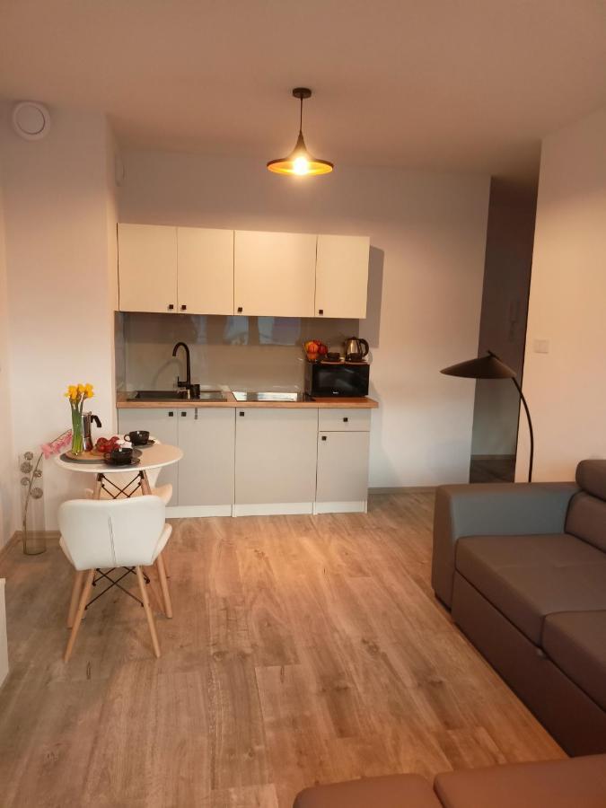Apartament Z Sauna I Jacuzzi Lejlighed Radom Eksteriør billede